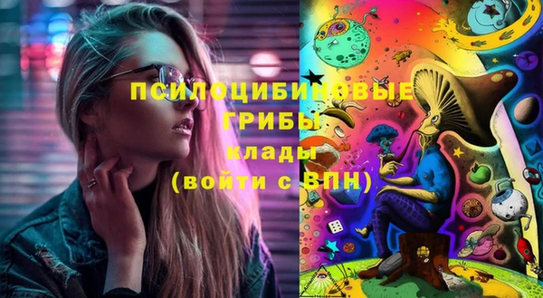 ГАЛЛЮЦИНОГЕННЫЕ ГРИБЫ Балахна
