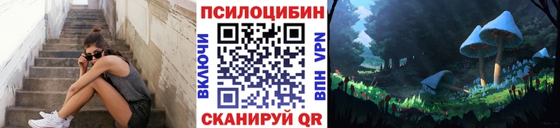 Псилоцибиновые грибы мицелий  Майкоп 